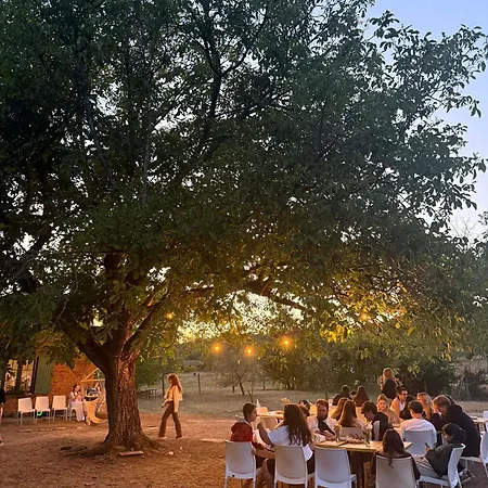 Kemp Glamping Stolat