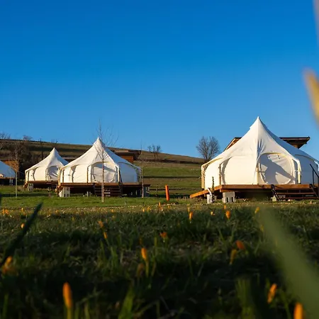 Glamping Stolat