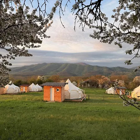 Glamping Stolat